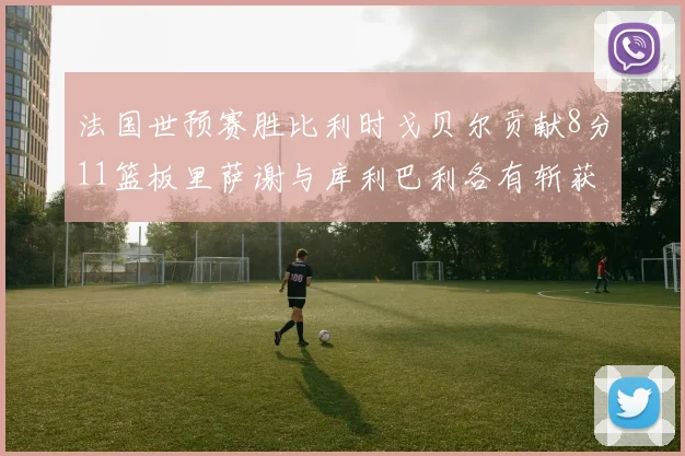法国世预赛胜比利时戈贝尔贡献8分11篮板里萨谢与库利巴利各有斩获